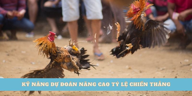 Kỹ năng dự đoán nâng cao tỷ lệ chiến thắng